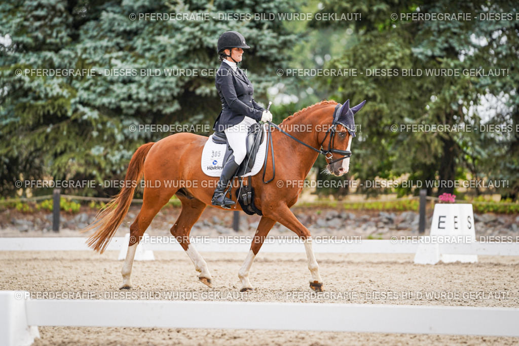 DSC01789 | Pferdegrafie