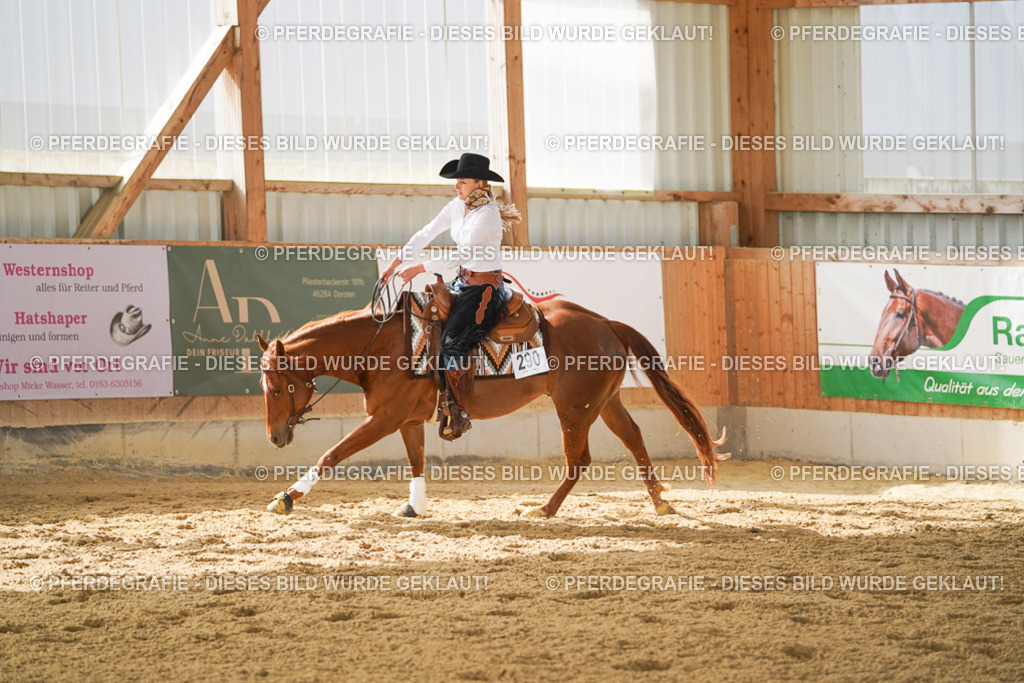 DSC06065 | Pferdegrafie