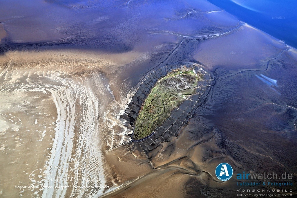 Hallig Norderoog und der Robinson des Wattenmeers - Luftbild | Noch im selben Jahr wurde Jens Sörensen Wand (auch als Wandt oder Vand geschrieben) als erster Vogelwart bestellt.  Er lebte über 40 Jahre auf der Hallig – von April bis Oktober der Brutsaison – und wurde zum legendären „Vogelkönig" bzw. „Robinson des Wattenmeers". Er setzte den Schutz der Seevogelkolonien mit teils rustikalen Methoden durch – es heißt, er habe fünf Eierdiebe verprügelt, die sich nachts auf die Hallig geschlichen hatten.