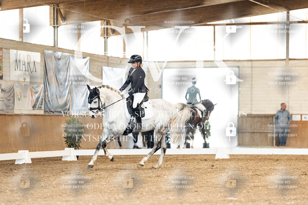 CK900884 | Turnierfotografie Pferdefotografie Trier Rheinland-Pfalz Pferdesport Reitsport Tierfotografie Sportfotografie Pferdevideo Pferdevideografie Equestrianvideography equestrianphotography  - Realized with Pictrs.com