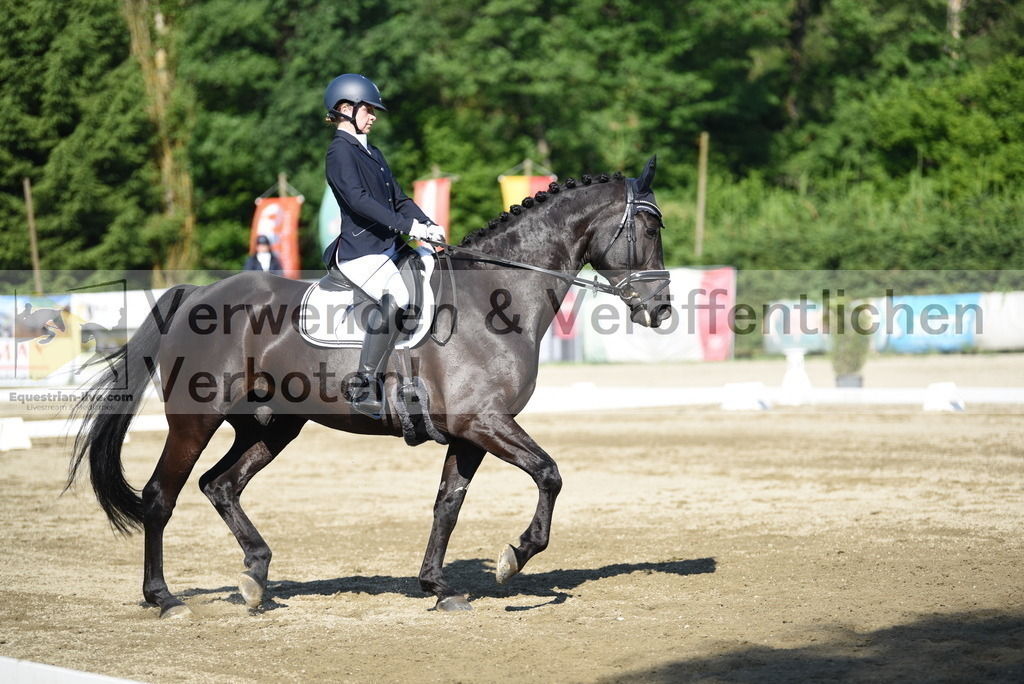 DSC_7240 | equestrian-live-com