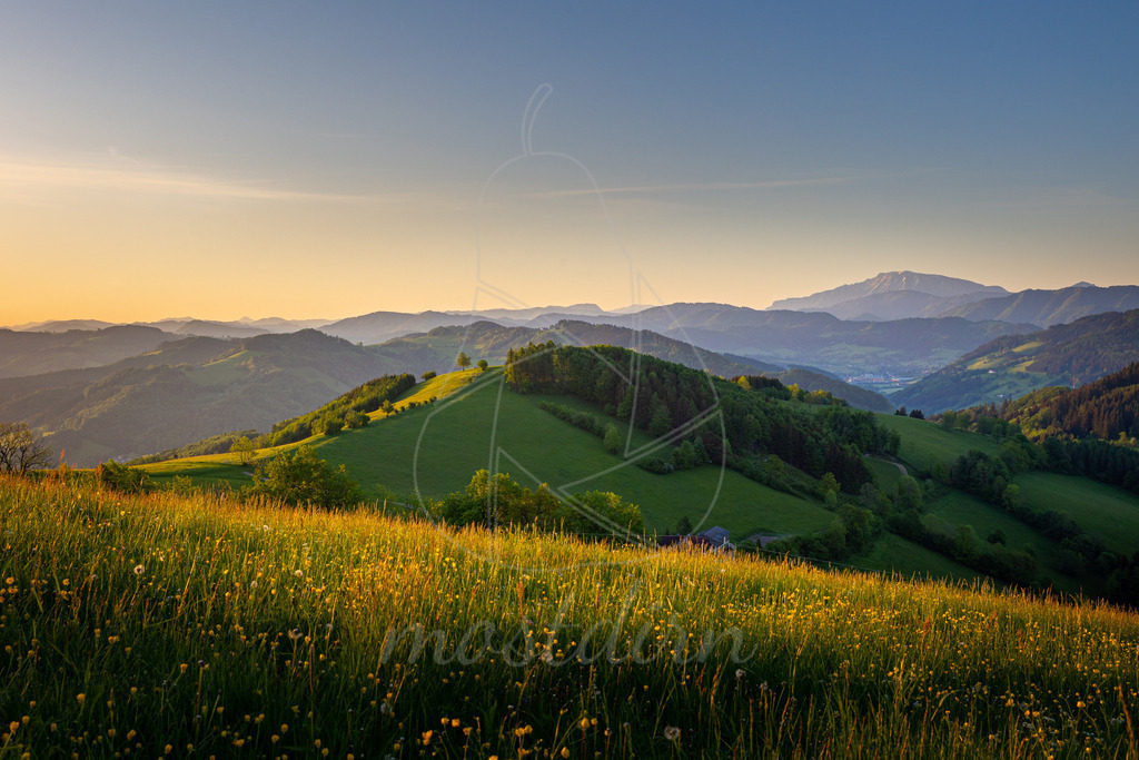 Morgenstimmung Hochkogelberg mit Ötscherblick Randegg | Bei Veröffentlichung des Bildes ist eine Namensnennung wie folgt erforderlich: 
Foto: Mostdirn Irmgard Wieser - Realisiert mit Pictrs.com