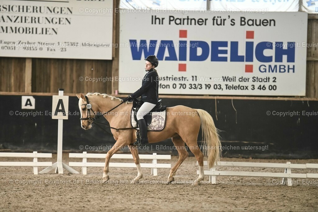 20231029_02_Reiter-WB_Schritt-Trab_Abteilung-01_0067 | Foto: Thomas Hartig