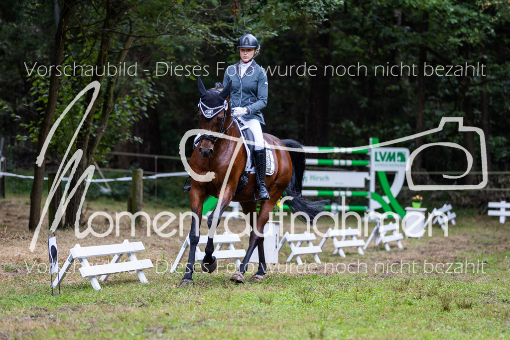 HB-A-Dressur-092 | MomenTaufnahmen Pferdesportfotos