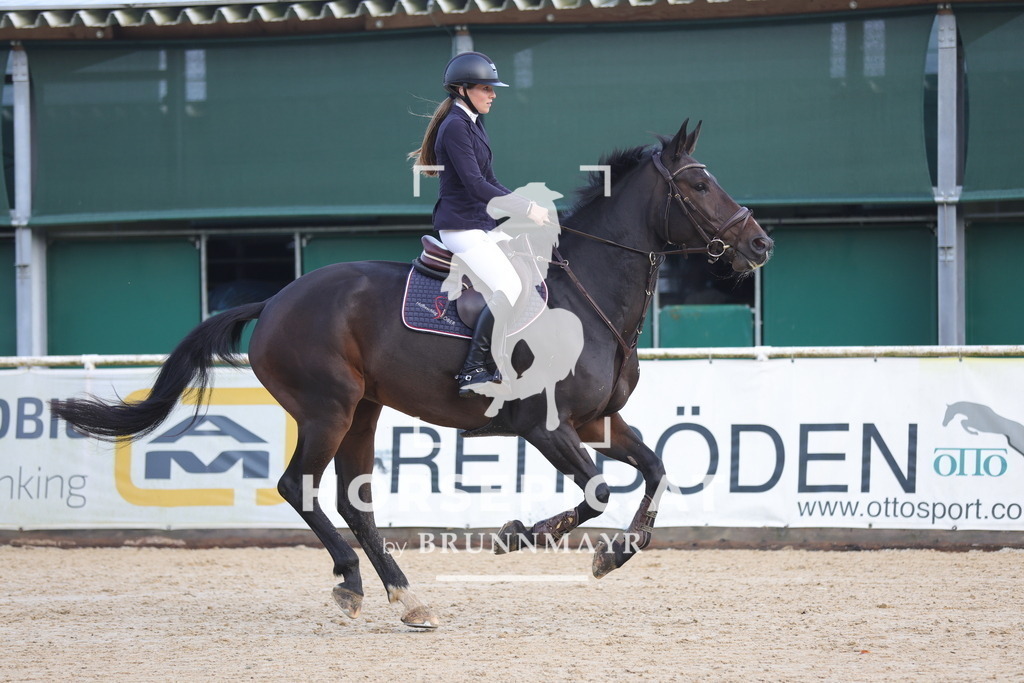 0P6A0987 | Willkommen bei Brunnmayr - Design & Fotografie – Ihrem Spezialisten für Reitturniere und Pferdeveranstaltungen in Oberösterreich, Salzburg und Bayern! Seit über 17 Jahren sind wir leidenschaftlich dabei.