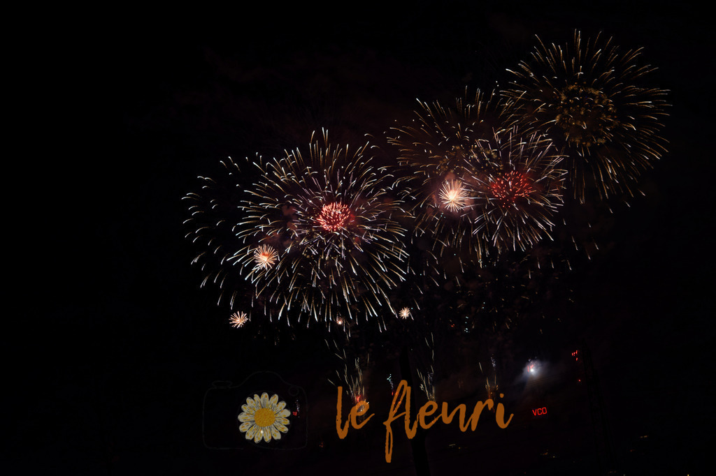 Vogelherdclub | Dies ist der Shop von Florian Blum - le fleuri. Langenthal, Bern, Schweiz. Sie können hier meine oder ihre eigenen Fotos als Fotoprodukte kaufen. Tassen, Schlüsselanhänger, Taschen etc. können Sie hier gestalten.  - Realisiert mit Pictrs.com