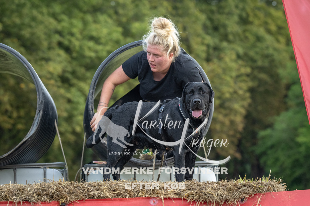 1050_ZZ93278 | kk-dogfotos