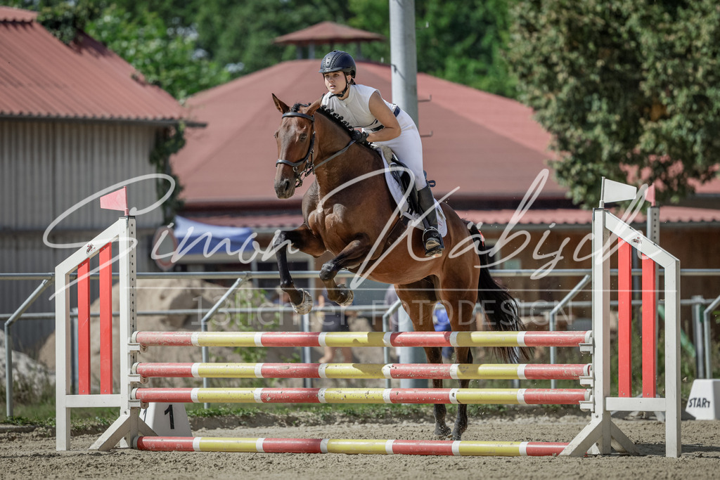 20250906-_3LI6003 | Tierfotografie Pferde, Hunde, Katzen, Haustiere.
Turnierfotografie Reitturniere, Reiten, Springreiten, Dressur in Hanau, dem Main-Kinzig-Kreis und dem Rhein-Main- Gebiet um Frankfurt