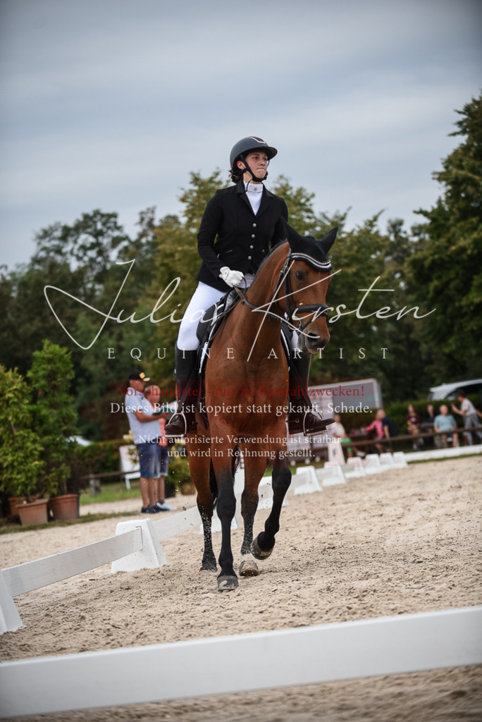 DSC_7987 | Pferde- und Turnierfotografie in Westsachsen. Pferdeportraits, Auftragszeichnungen und intuitive Kunst.