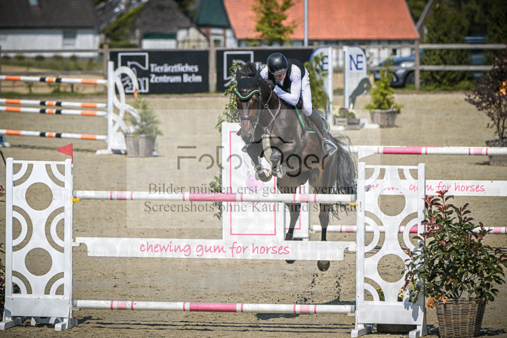 DOS_1606 | Entdecke hochwertige Reitturnierfotos von Foto Oger. Professionell, emotional und authentisch – jetzt Lieblingsmomente im Shop bestellen.Deutschlandweite Turnierfotografie. - Realisiert mit Pictrs.com