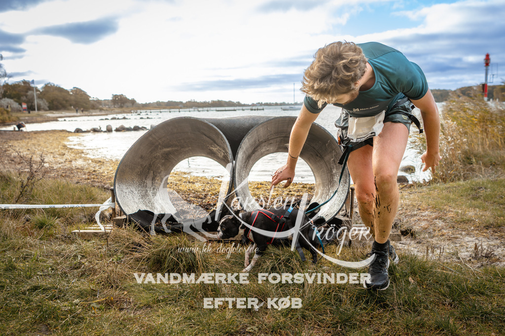 0919_ZZ96726 | kk-dogfotos