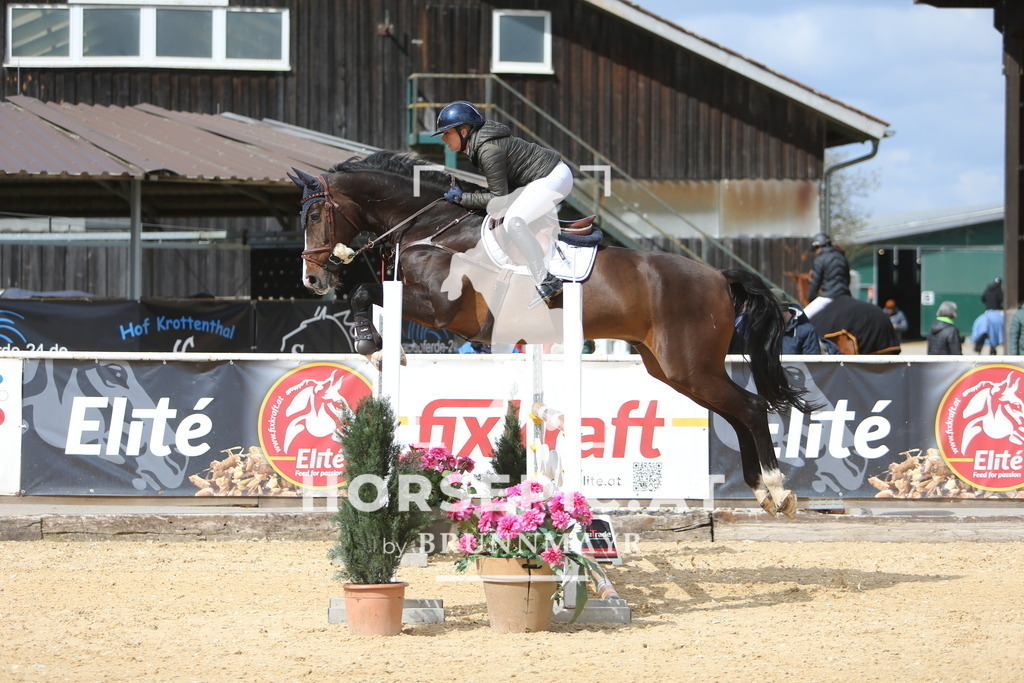 DL2Q9430 | Willkommen bei Brunnmayr - Design & Fotografie – Ihrem Spezialisten für Reitturniere und Pferdeveranstaltungen in Oberösterreich, Salzburg und Bayern! Seit über 17 Jahren sind wir leidenschaftlich dabei.