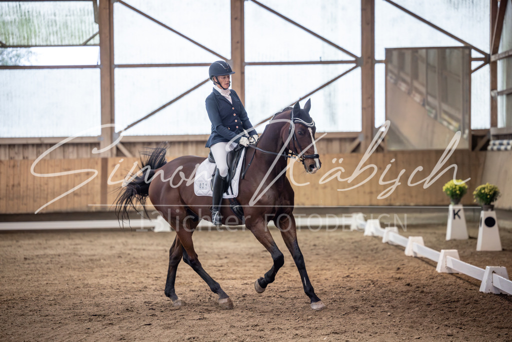 20251011-_3LI1669 | Tierfotografie Pferde, Hunde, Katzen, Haustiere.
Turnierfotografie Reitturniere, Reiten, Springreiten, Dressur in Hanau, dem Main-Kinzig-Kreis und dem Rhein-Main- Gebiet um Frankfurt