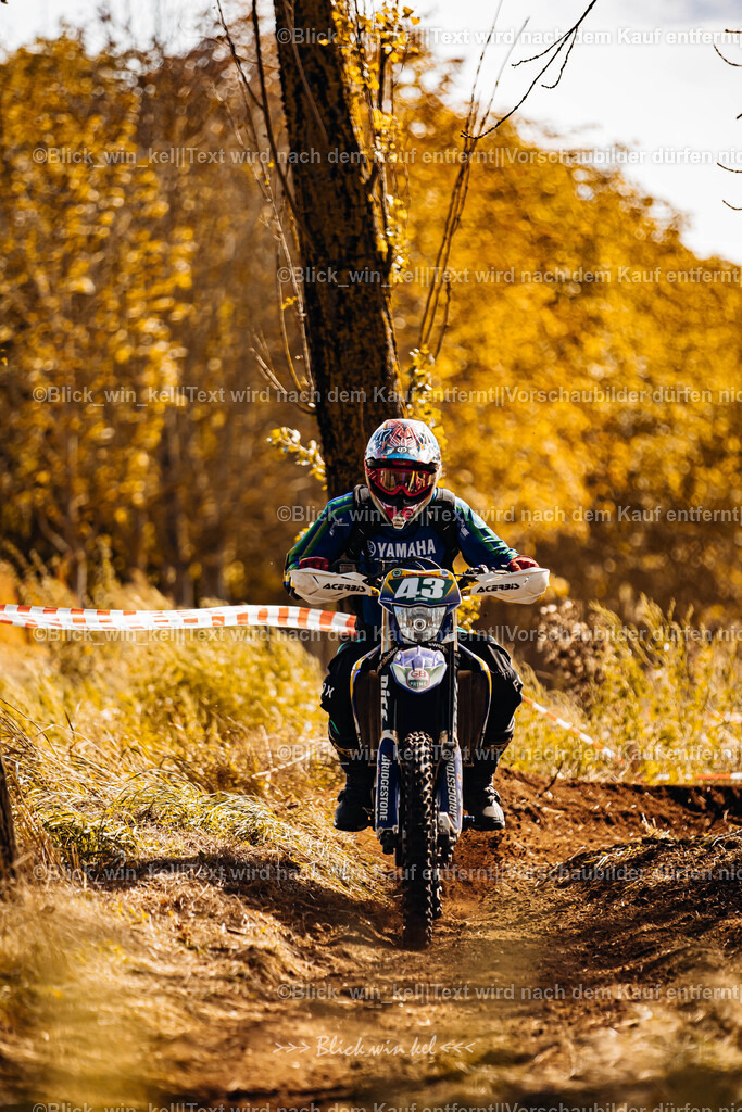 E68A2517 | blick_win_kel