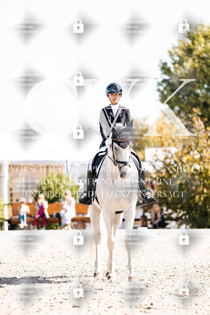 CK902900 | Turnierfotografie Pferdefotografie Trier Rheinland-Pfalz Pferdesport Reitsport Tierfotografie Sportfotografie Pferdevideo Pferdevideografie Equestrianvideography equestrianphotography  - Realisiert mit Pictrs.com