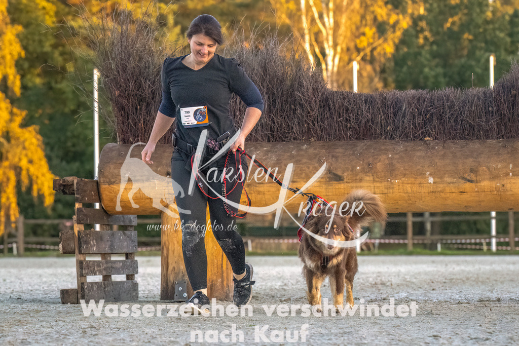 0823-00218 | kk-dogfotos