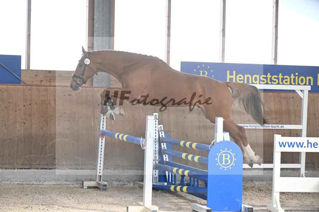 Kat-Nr. 7 Clavius dElifine Z v. Conthargos_Walcher_14261941 | hf-fotografie - Realizzato con Pictrs.com