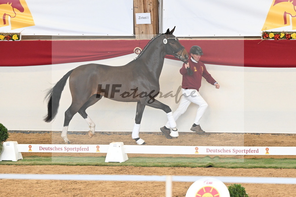 Kat.-Nr. 81 v. Va Bene_Greim_3261136 | hf-fotografie - Realizzato con Pictrs.com