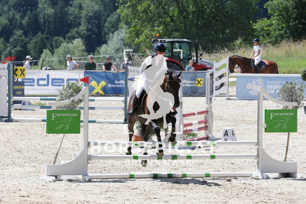 PP017526 | Willkommen bei Brunnmayr - Design & Fotografie – Ihrem Spezialisten für Reitturniere und Pferdeveranstaltungen in Oberösterreich, Salzburg und Bayern! Seit über 17 Jahren sind wir leidenschaftlich dabei.