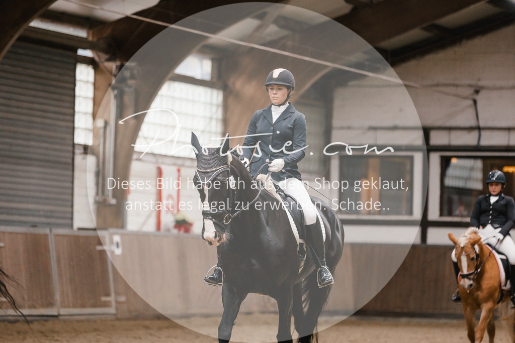 3I6A7867 | Stimmungsvolle Portraits und Reitsportfotografie im Ruhrgebiet und im Münsterland.

Pferdefotografie, Hundefotografie, Tierfotografie, Reportagen, Portraits von Tier und Mensch, Turnierfotografie in Bochum, Recklinghausen, Marl, Haltern am See, Dülmen.. - Realisiert mit Pictrs.com