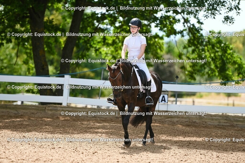 20230715_09_Dressur-WB_0201 | equistock