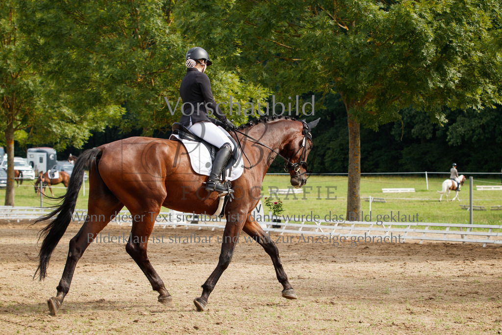 IMG_2477 | P. Berger Fotografie - Realisiert mit Pictrs.com