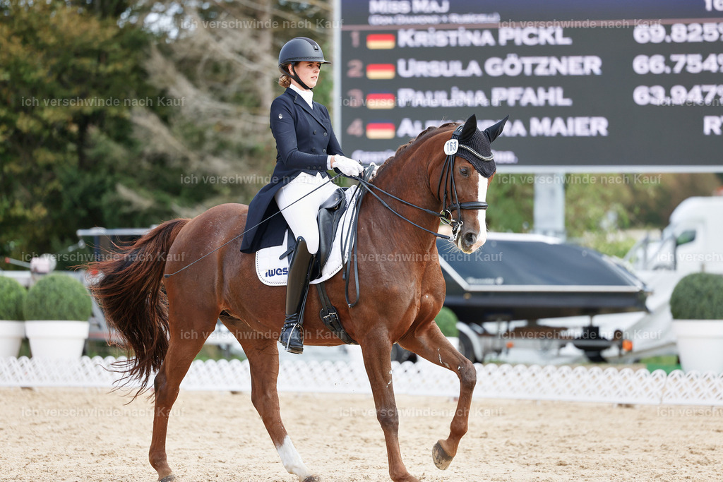 6-163-AMATUER-DRESSUR S_  -StoibPH-3467 | working equitationturnier fotograf videograf stoibphotography marixx film working equitation deutschland reitsport turnierfotografie eventfotografie equestrian events