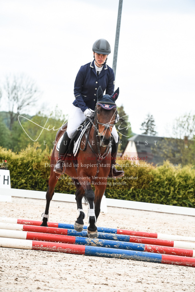 20230518_JK-Röhrsdorf-10-578 | Pferde- und Turnierfotografie in Westsachsen. Pferdeportraits, Auftragszeichnungen und intuitive Kunst.