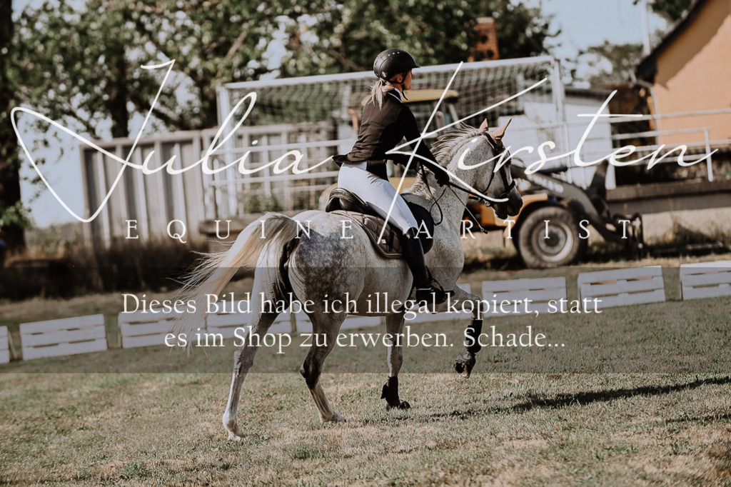 DSC_9495 | Pferde- und Turnierfotografie in Westsachsen. Pferdeportraits, Auftragszeichnungen und intuitive Kunst.