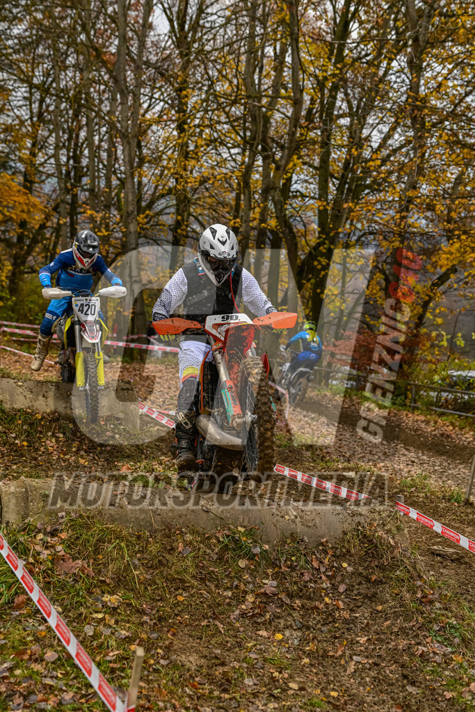 NZ8_6458 | grenznic640