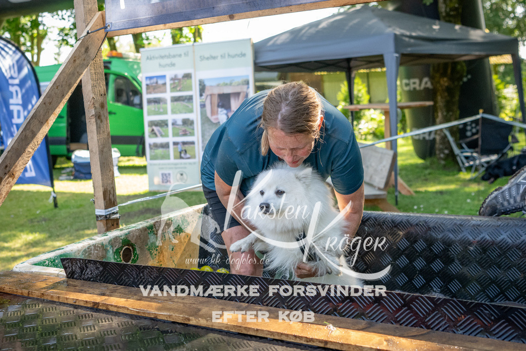 1543_ZZ93038 | kk-dogfotos