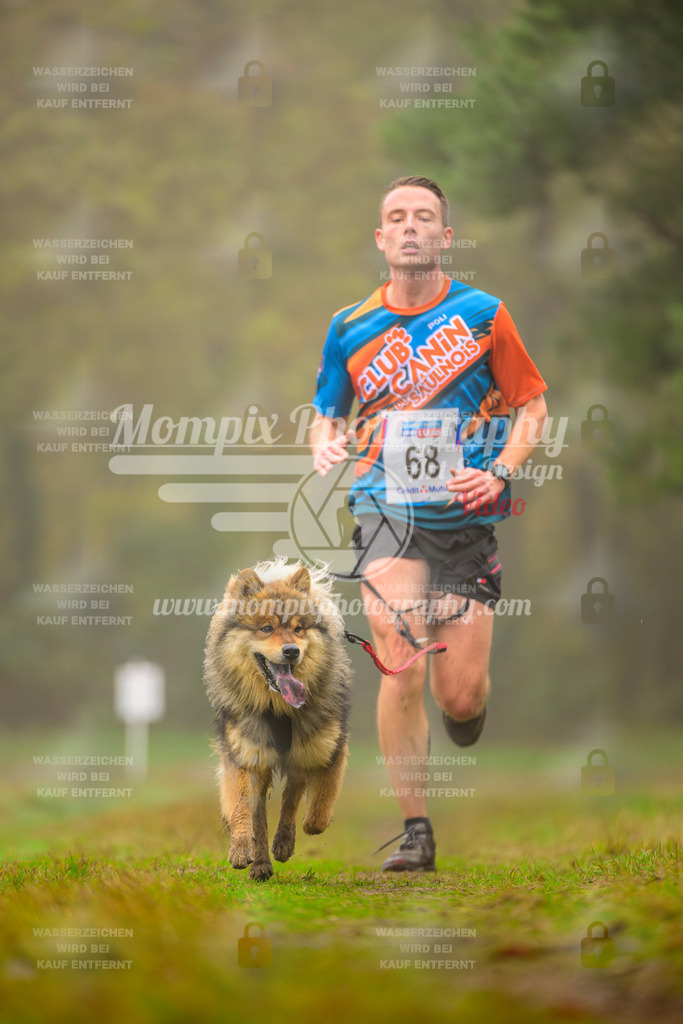 MompixPhotography_Bischwiller2025_Canicross-95 | mompixphotography