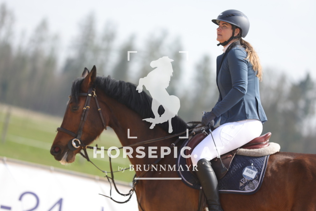 0P6A9551 | Willkommen bei Brunnmayr - Design & Fotografie – Ihrem Spezialisten für Reitturniere und Pferdeveranstaltungen in Oberösterreich, Salzburg und Bayern! Seit über 17 Jahren sind wir leidenschaftlich dabei.