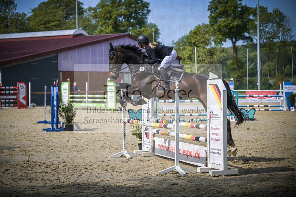 DOS_6892 | Entdecke hochwertige Reitturnierfotos von Foto Oger. Professionell, emotional und authentisch – jetzt Lieblingsmomente im Shop bestellen.Deutschlandweite Turnierfotografie. - Realisiert mit Pictrs.com