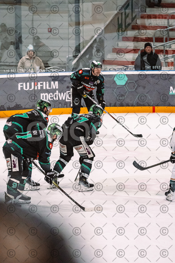 Alligators_vs_Erding_12_12_2025-197 | Höchstadt Alligators Fotogalerie: Eishockey-Action aus Franken. Professionelle Spielfotos, Portraits & Stadionbilder zum Download. Jetzt entdecken! - Realized with Pictrs.com
