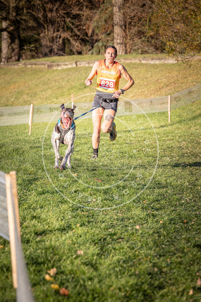CaniXpix_0L8A0590 | Hundefotografie, Tierfotograf, Pfotenfotografie, Fotoshooting Hund, Hunde Portrait, Hundesport, Hundeportraits, Heideshooting, Hunde, Sportfotograf, Hundefotograf, Turnierhundsport, THS,  - Realisiert mit Pictrs.com