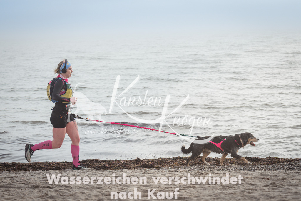 1134_ZZ99426 | kk-dogfotos