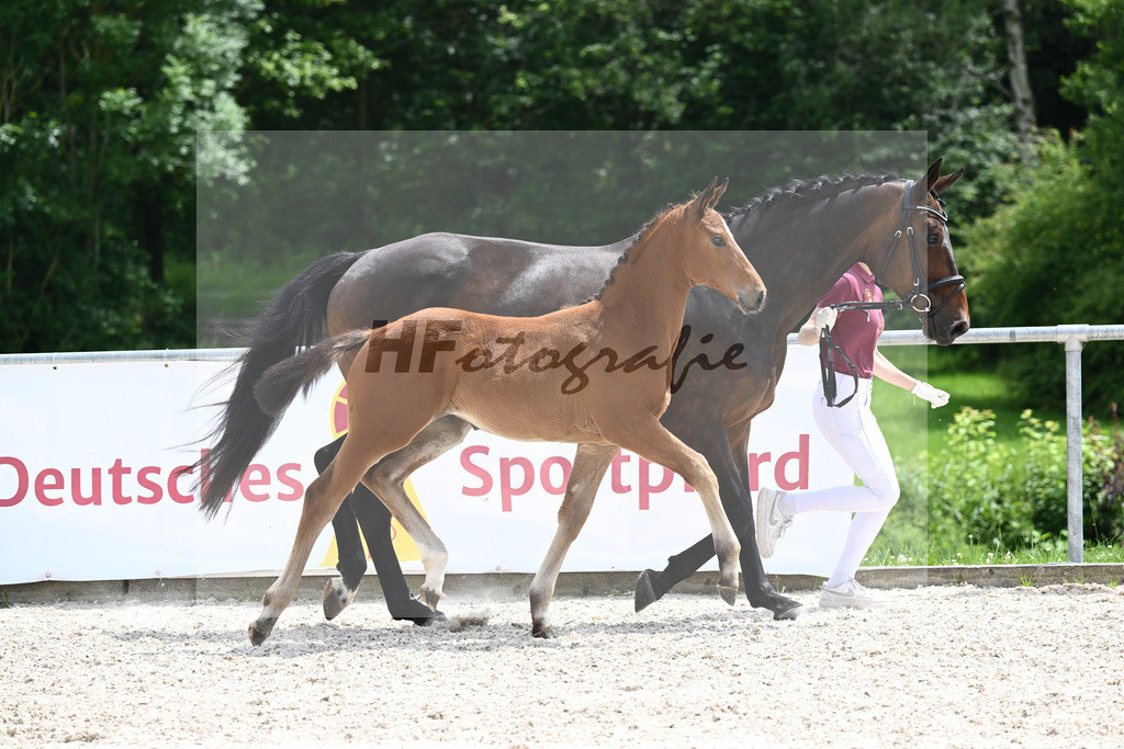 Viva Vitalis x Locksley III_SF_Ochs_20240469 | hf-fotografie - Realisiert mit Pictrs.com