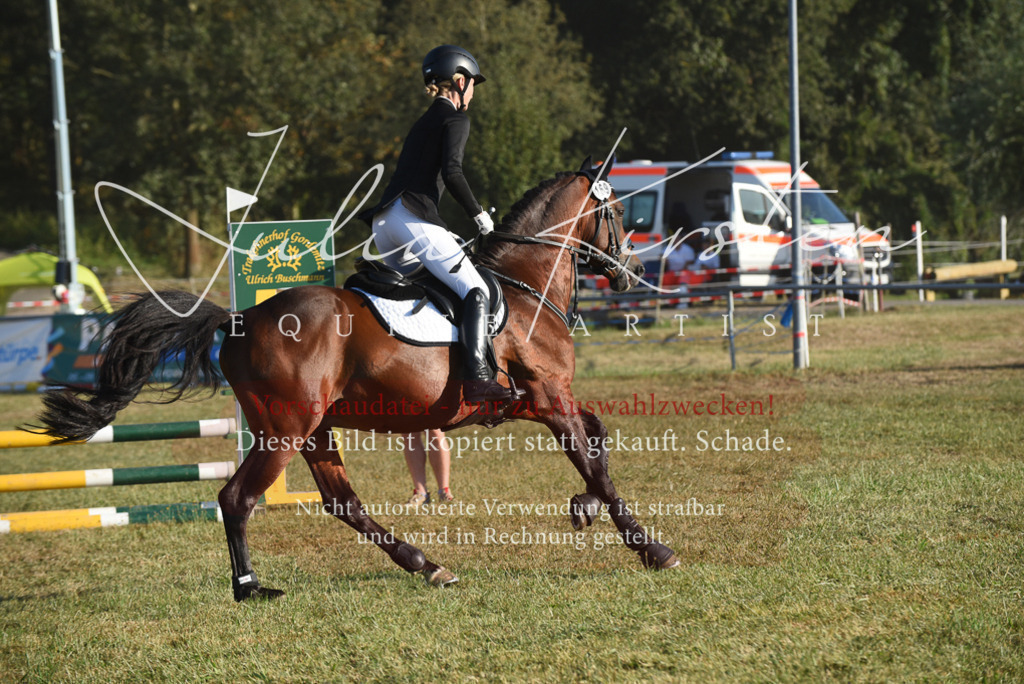 DSC_4930 | Pferde- und Turnierfotografie in Westsachsen. Pferdeportraits, Auftragszeichnungen und intuitive Kunst.