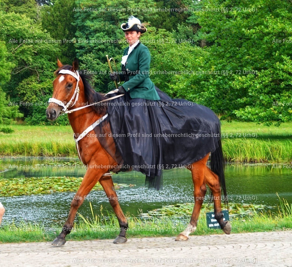 BMF09263_2-01 | krollfotografie - Realisiert mit Pictrs.com