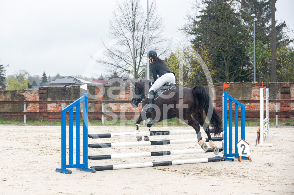 DSC_8417 | sattelsport - Realisiert mit Pictrs.com