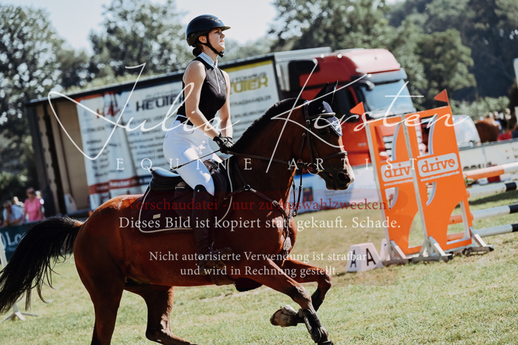 DSC_5751 | Pferde- und Turnierfotografie in Westsachsen. Pferdeportraits, Auftragszeichnungen und intuitive Kunst.