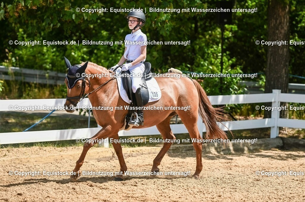 20230715_09_Dressur-WB_0404 | equistock