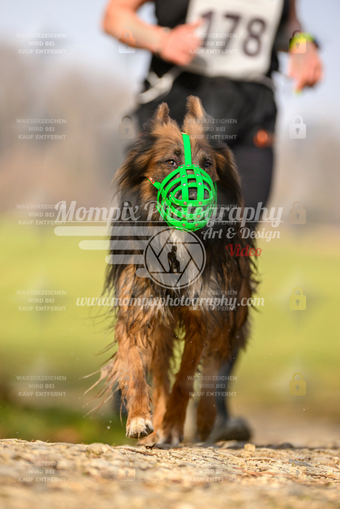 MompixPhotography_6ReiatRennen2026_SA_HappyDog-48 | PayLife
