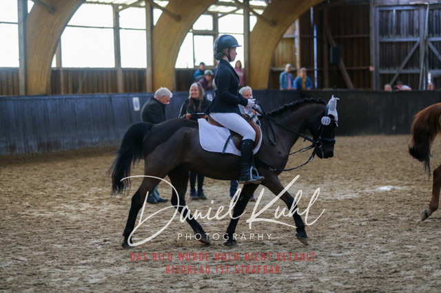 IMG_1531 | Turniersportfotografie; Pferdefotografie; Dressurfotografie