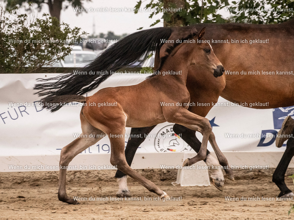 A10I3745 15.58.10 | photographylinaismer - Realisiert mit Pictrs.com