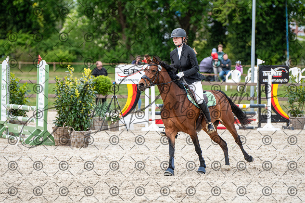 KPT_7248 | andre_photographic