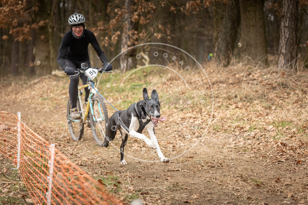 Pfotenfotografie_DV3A3005 | Hundefotografie, Tierfotograf, Pfotenfotografie, Fotoshooting Hund, Hunde Portrait, Hundesport, Hundeportraits, Heideshooting, Hunde, Sportfotograf, Hundefotograf, Turnierhundsport, THS,  - Realisiert mit Pictrs.com