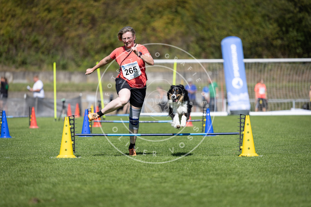 Pfotenfotografie_DV3A6660 | Hundefotografie, Tierfotograf, Pfotenfotografie, Fotoshooting Hund, Hunde Portrait, Hundesport, Hundeportraits, Heideshooting, Hunde, Sportfotograf, Hundefotograf, Turnierhundsport, THS,  - Realisiert mit Pictrs.com