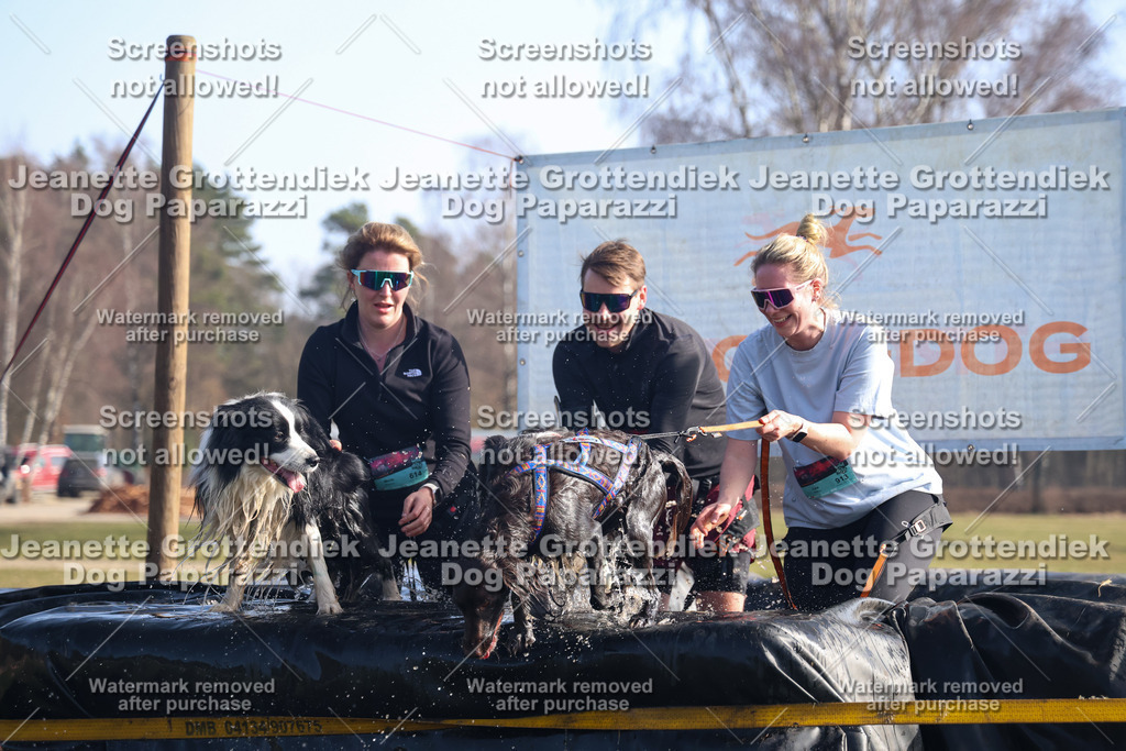Dog Paparazzi - Strongdog North Mrz26-1122 | Dog Paparazzi Jeanette Grottendiek Fotografie & Videografie - Realisiert mit Pictrs.com